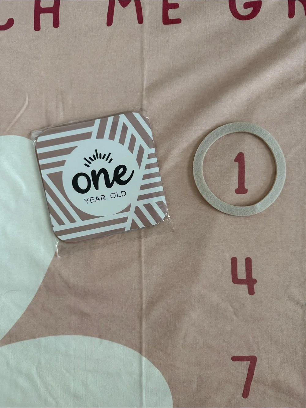 Carter's Blush Pink Milestone Blanket with White Daisy